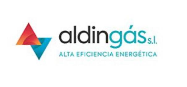 logo aldingas